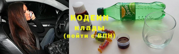 стаф Нея