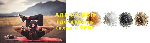 стаф Нея