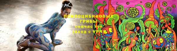 стаф Нея