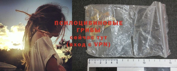 стаф Нея