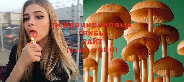 альфа пвп Нефтегорск