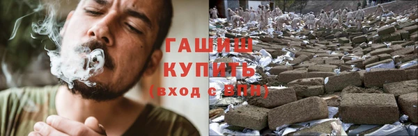 стаф Нея