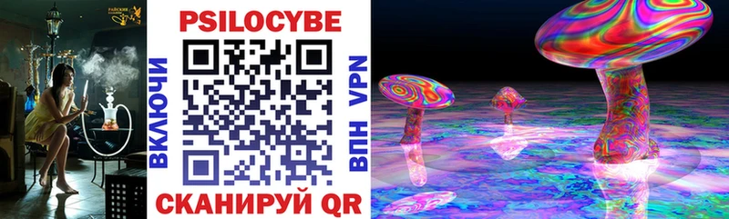 наркота  Новая Усмань  Псилоцибиновые грибы ЛСД 